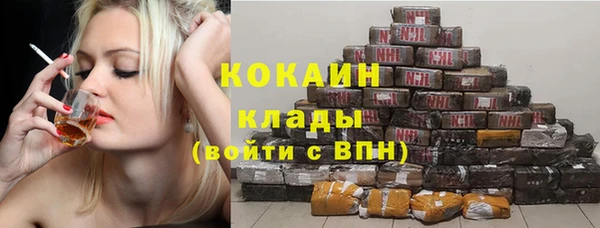 шишки Алексеевка