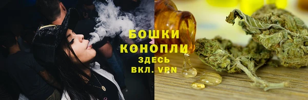 шишки Алексеевка