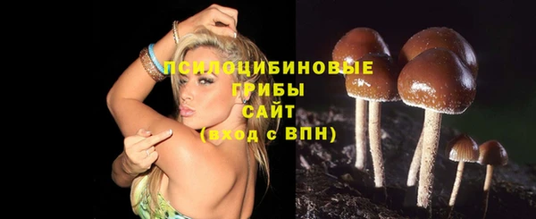 шишки Алексеевка