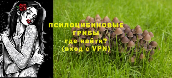 шишки Алексеевка