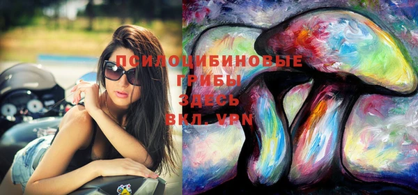 PSILOCYBIN Алзамай