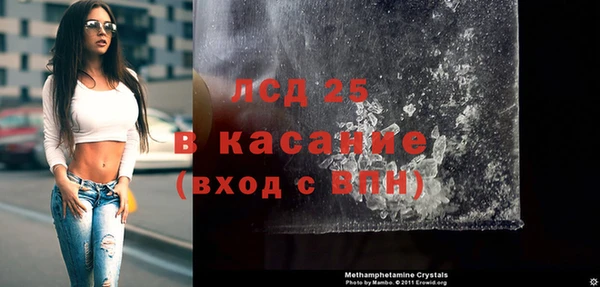 PSILOCYBIN Алзамай