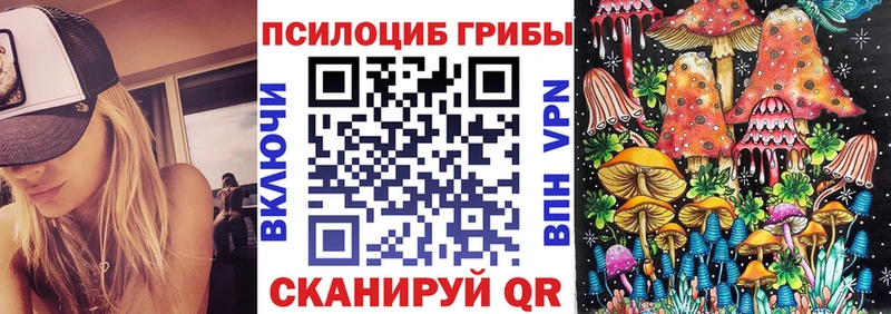 Псилоцибиновые грибы GOLDEN TEACHER Козловка